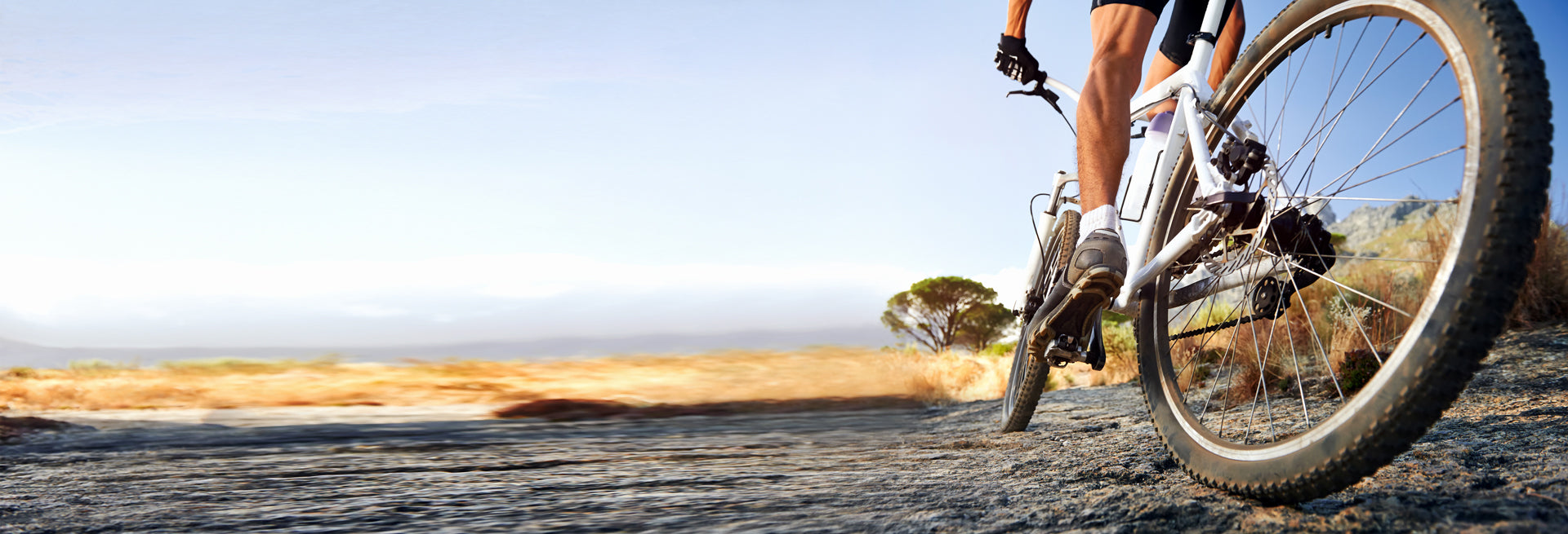 slider image 1621243260e1af0c20-0